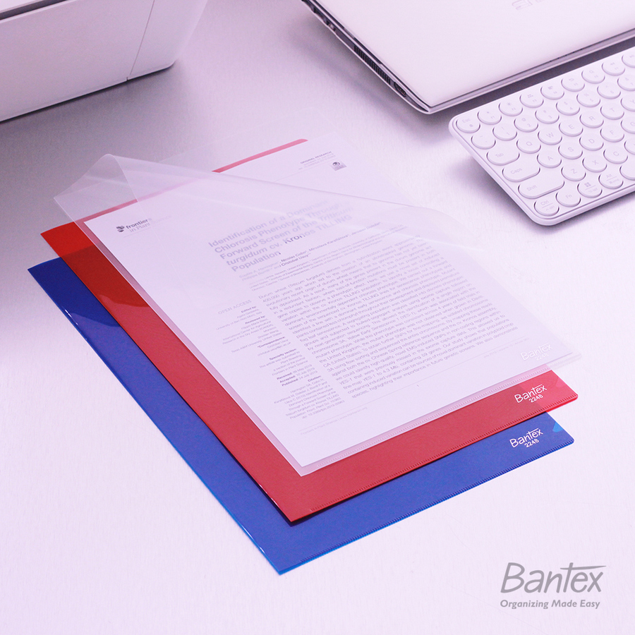Stopmap Plastik Bantex L Folder Ukuran Folio Size / 0,15 mm - depan